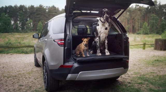 Dog Shower: Land Rover takes care of smaller brothers