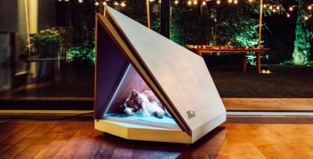 Ford has prepared an innovative doghouse