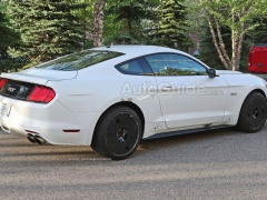 This Could Be The Next Mustang From Ford pic #5551