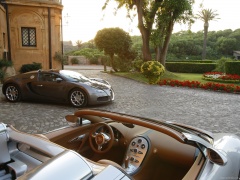 Veyron Grand Sport photo #65003