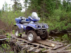 Yamaha Grizzly pic