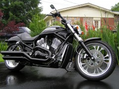 Harley-Davidson VRSCAW V-Rod pic