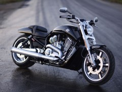 Harley-Davidson VRSCF V-Rod Muscle pic
