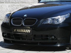 Hamann BMW 530i HM 5.0 pic