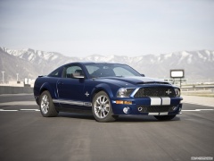 shelby super cars shelby gt500 kr 40th anniversary pic #57362