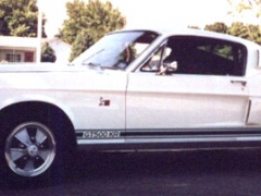 Mustang GT500 photo #6056