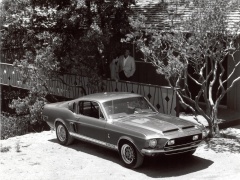 Mustang GT500 photo #6060