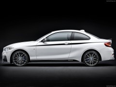 BMW 2-Series Coupe with M Performance Parts pic