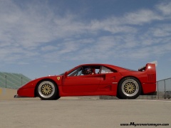 Ferrari F40 LM pic