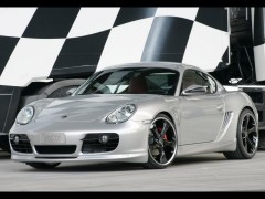 Porsche Cayman S photo #30028