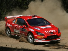 307 WRC photo #30546