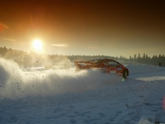 307 WRC photo #30580