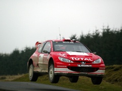 WRC photo #8247
