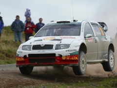 Fabia WRC photo #28928