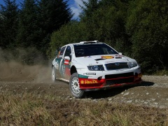 Fabia WRC photo #28929
