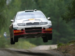 Fabia WRC photo #28941