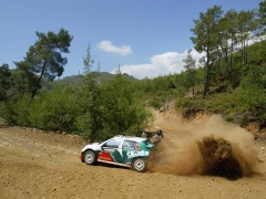 Fabia WRC photo #28951