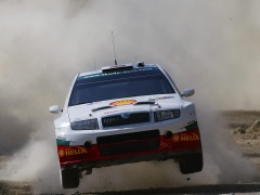 Fabia WRC photo #28952