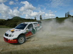 Fabia WRC photo #28955