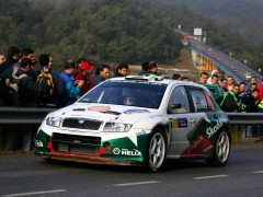 Fabia WRC photo #28961