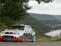 Fabia WRC photo #32493