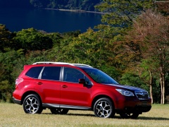 Forester photo #145073