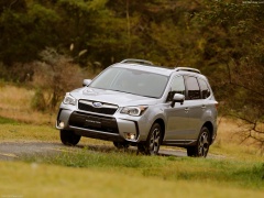 Forester photo #145076