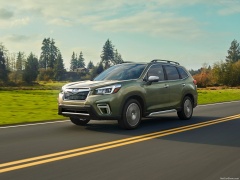 Forester photo #187551