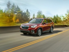 Forester photo #187553