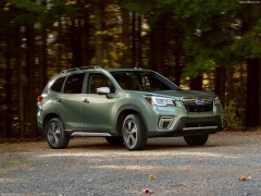Forester photo #187555