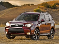 Forester photo #97593