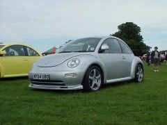 New Beetle photo #1294
