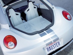 New Beetle Ragster photo #18910