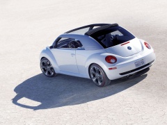 New Beetle Ragster photo #18914