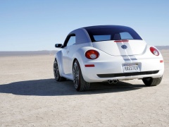New Beetle Ragster photo #18916