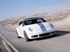 New Beetle Ragster photo #18919