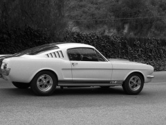 Mustang Shelby GT350 photo #122044