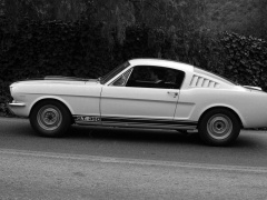 Mustang Shelby GT350 photo #122056