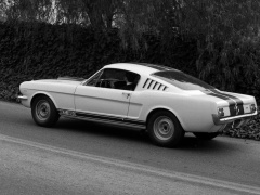 Mustang Shelby GT350 photo #122057