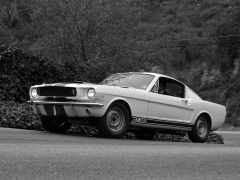Mustang Shelby GT350 photo #122060