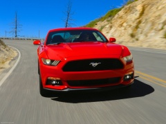 Mustang EcoBoost photo #129771