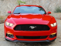 Mustang EcoBoost photo #129773