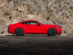 Mustang EcoBoost photo #129789