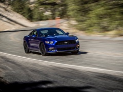 Mustang EcoBoost photo #129791