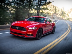 Mustang EcoBoost photo #129803