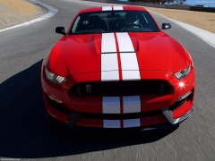 Mustang Shelby GT350 photo #149156