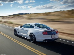 Mustang Shelby GT350 photo #149157