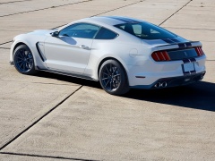 Mustang Shelby GT350 photo #149161
