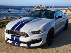 Mustang Shelby GT350 photo #149180