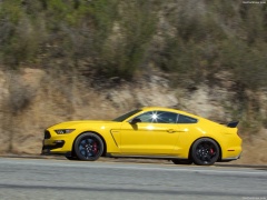 Mustang Shelby GT350R photo #149190